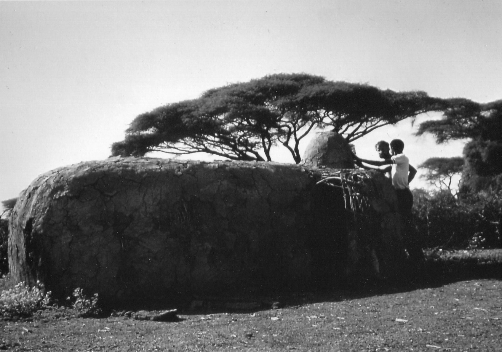 Christel Lehmann Damals in Kenia Bilder